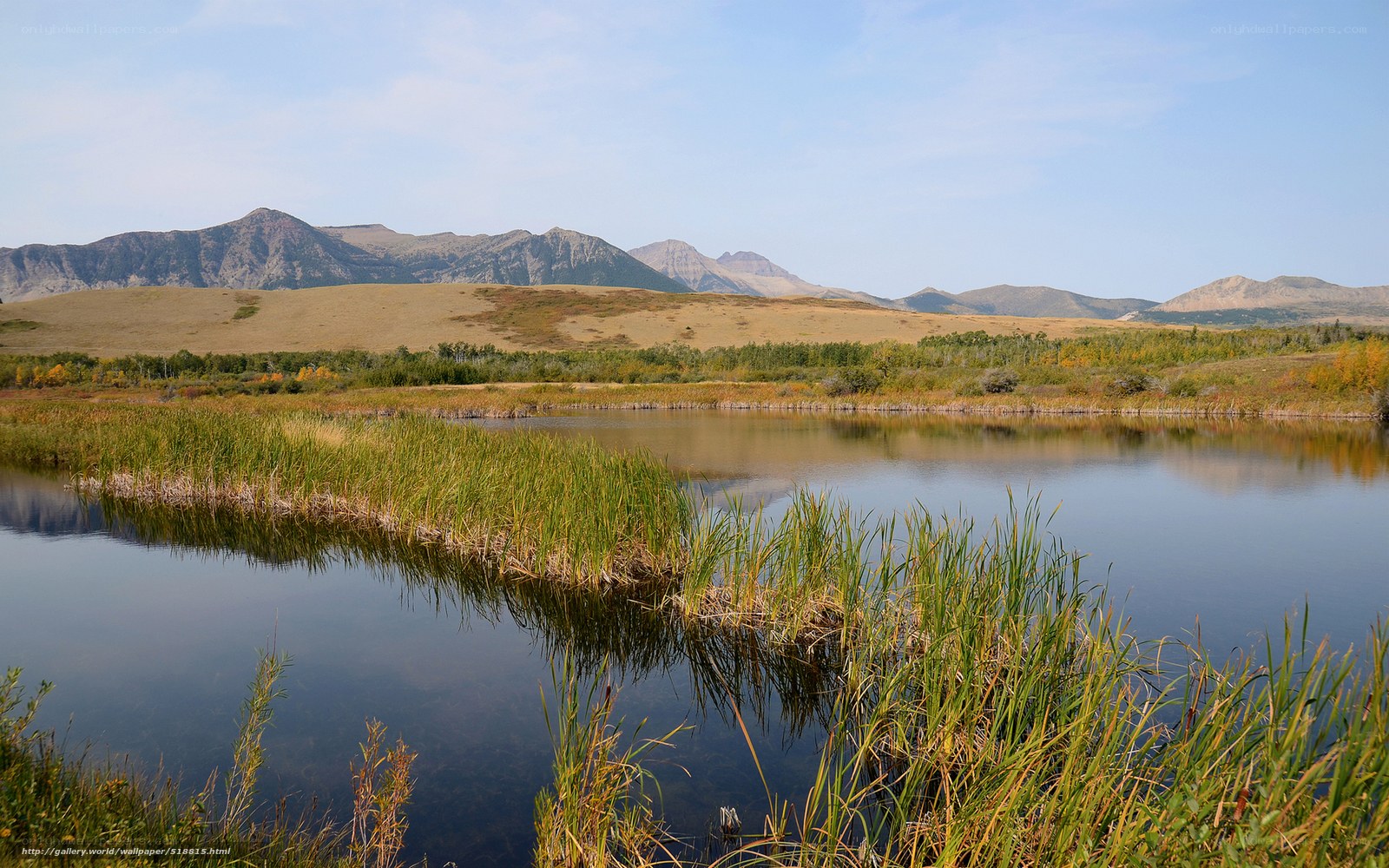 Mountain lake with reeds