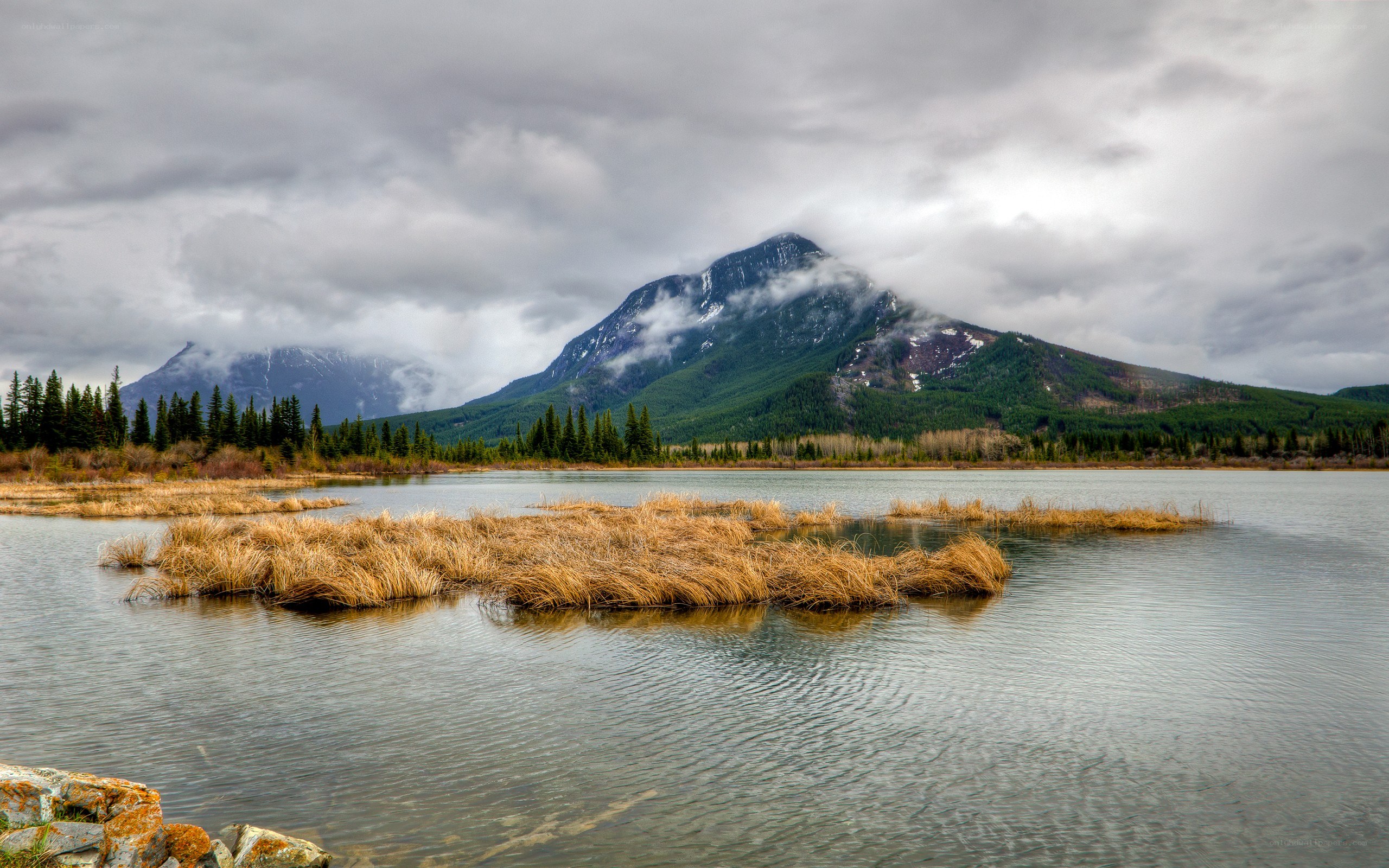 Mountain lake with reeds