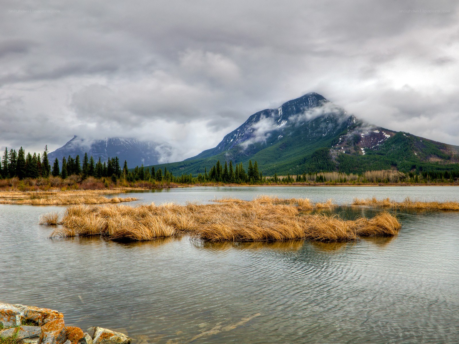 Mountain lake with reeds