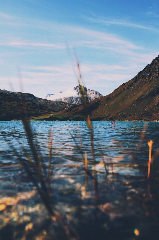 Mountain Lake with Reeds — Blue, Serene
