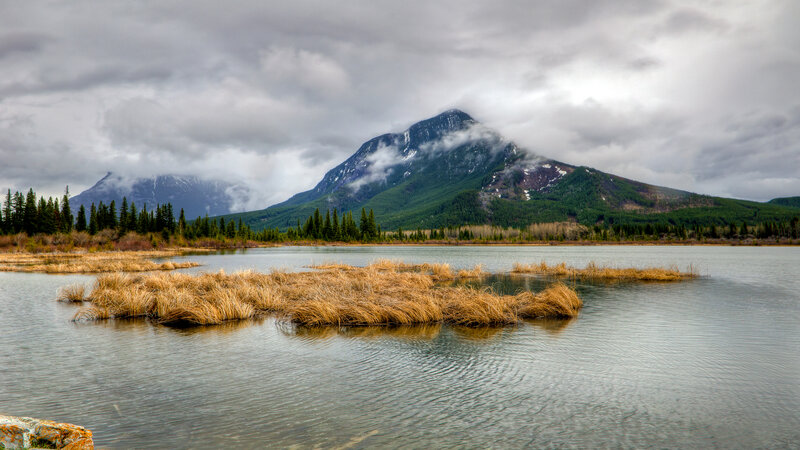 Mountain Lake with Reeds — Gray, Dramatic, Photograph