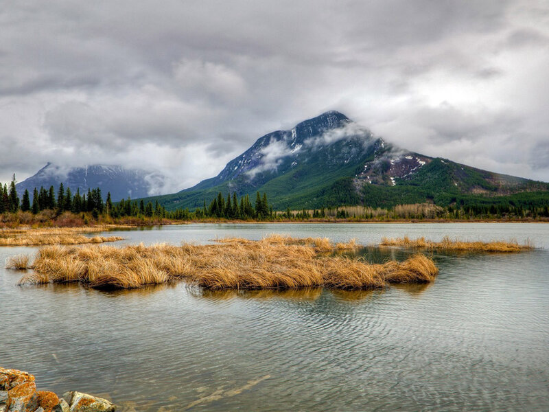 Mountain Lake with Reeds — Gray