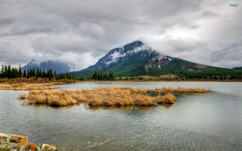 Mountain Lake with Reeds — Green, Dramatic