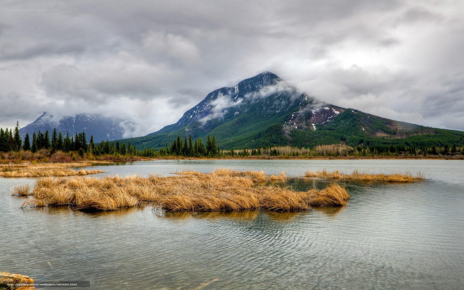 Mountain lake with reeds