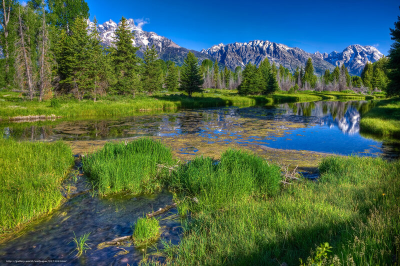 Mountain Lake with Reflection — Green