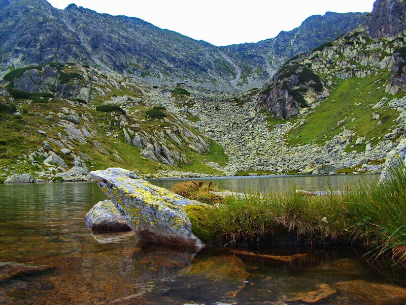 Mountain Lake with Rocks — Green