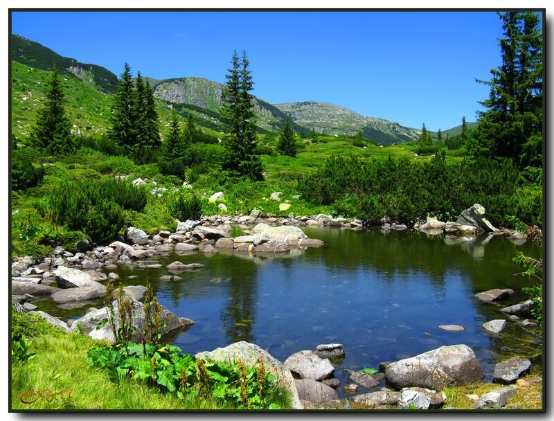 Mountain Lake with Rocks