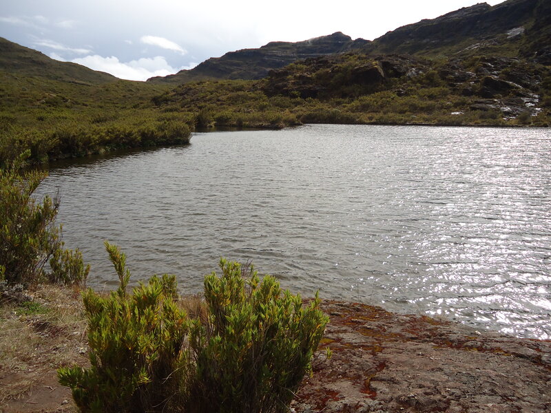 Mountain Lake with Shrubs