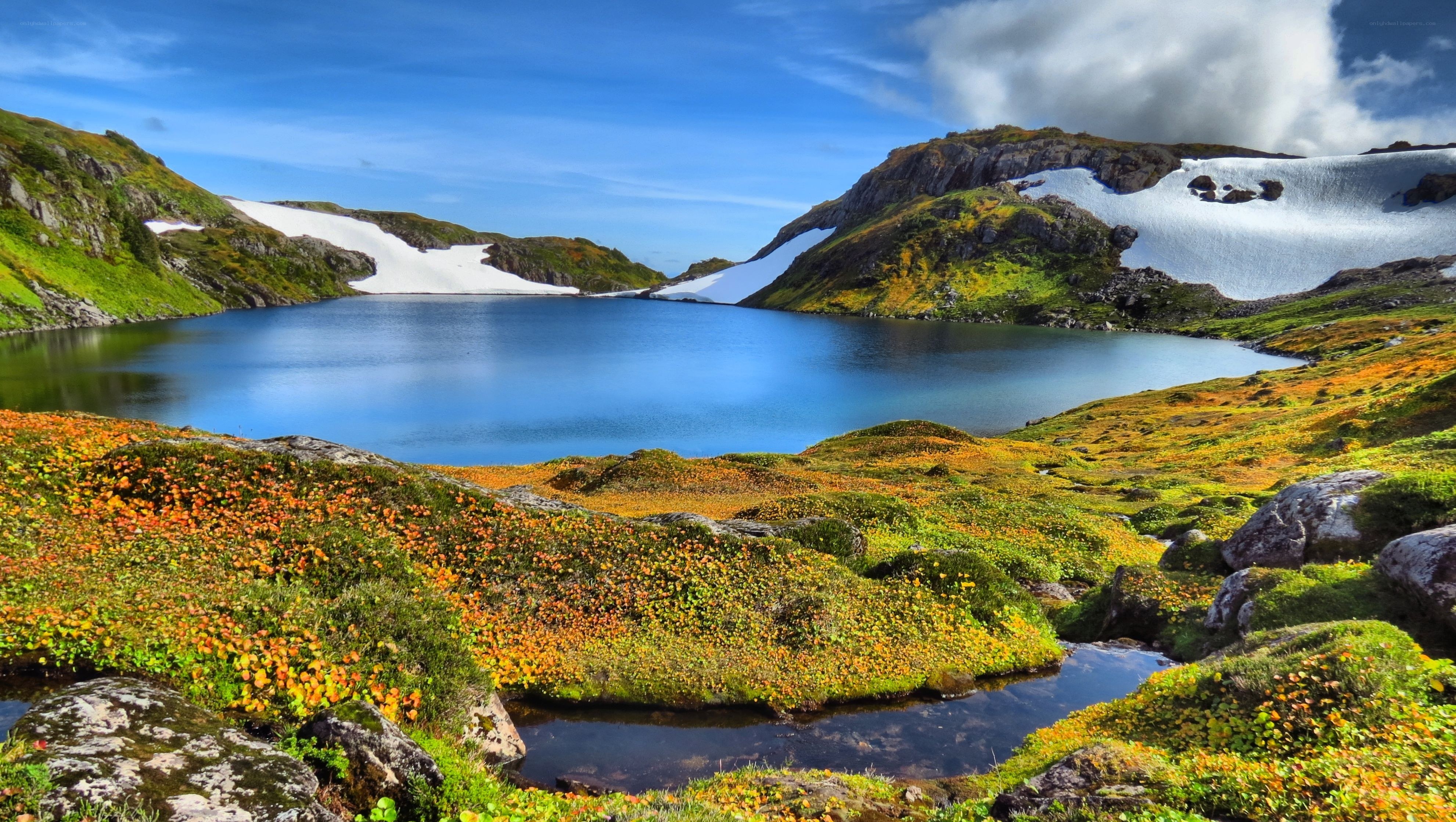 Mountain lake with snow and flowers