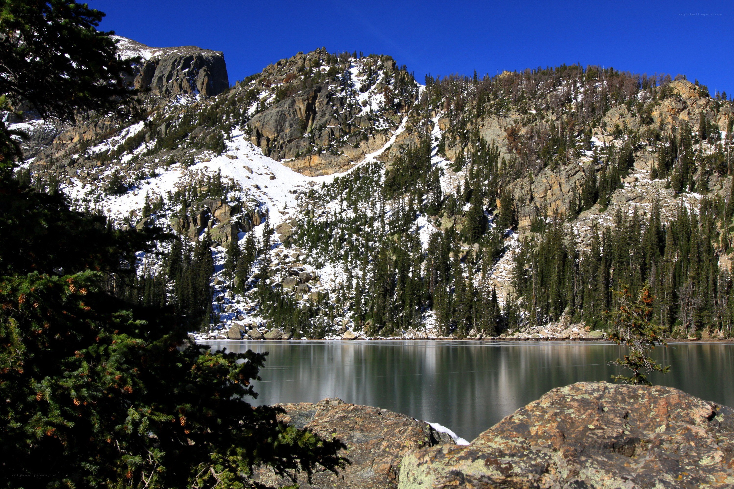 Mountain lake with snow and trees
