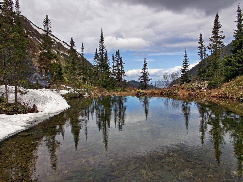 Mountain lake with snow and trees