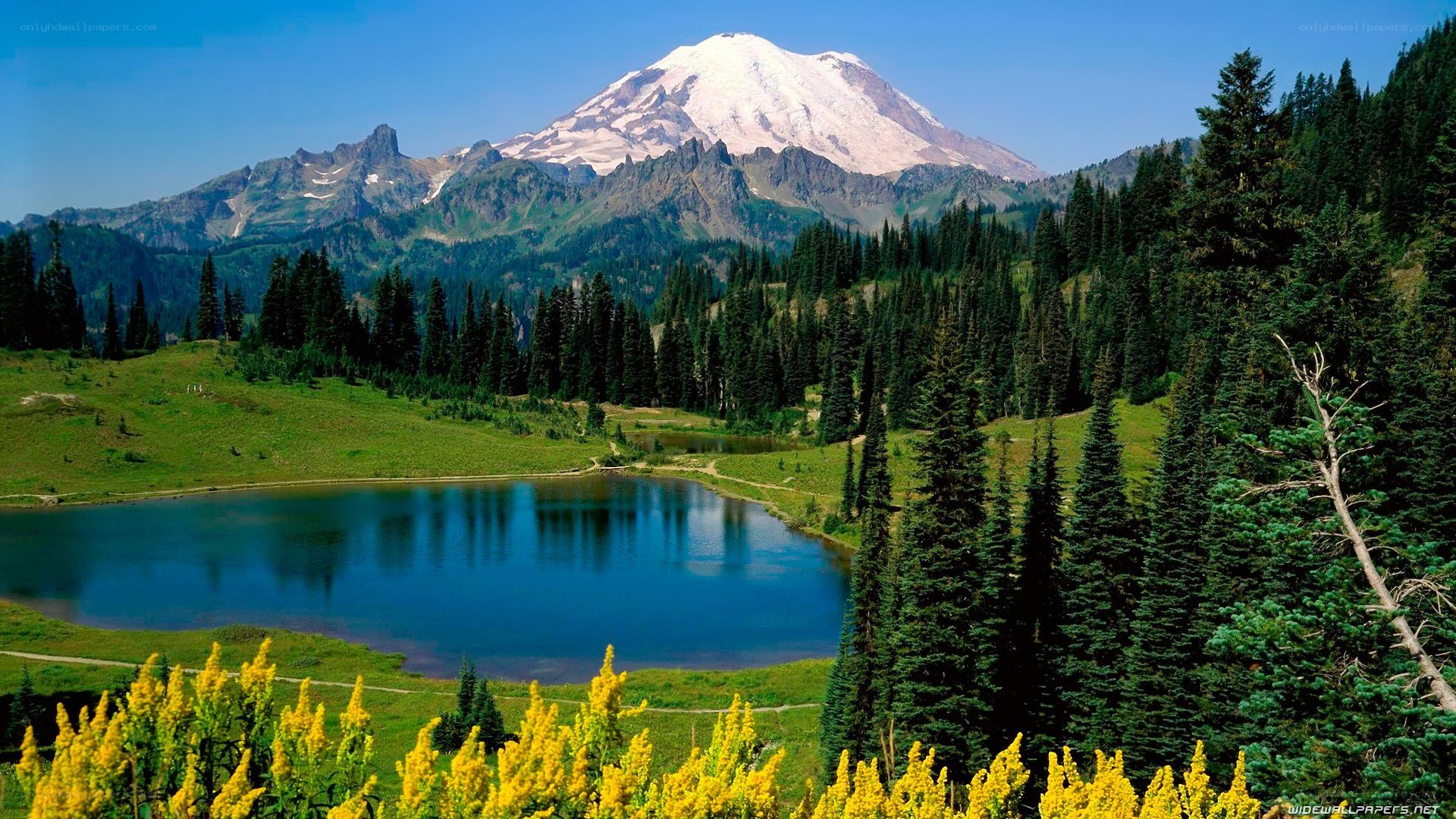 Mountain lake with snow-capped peak