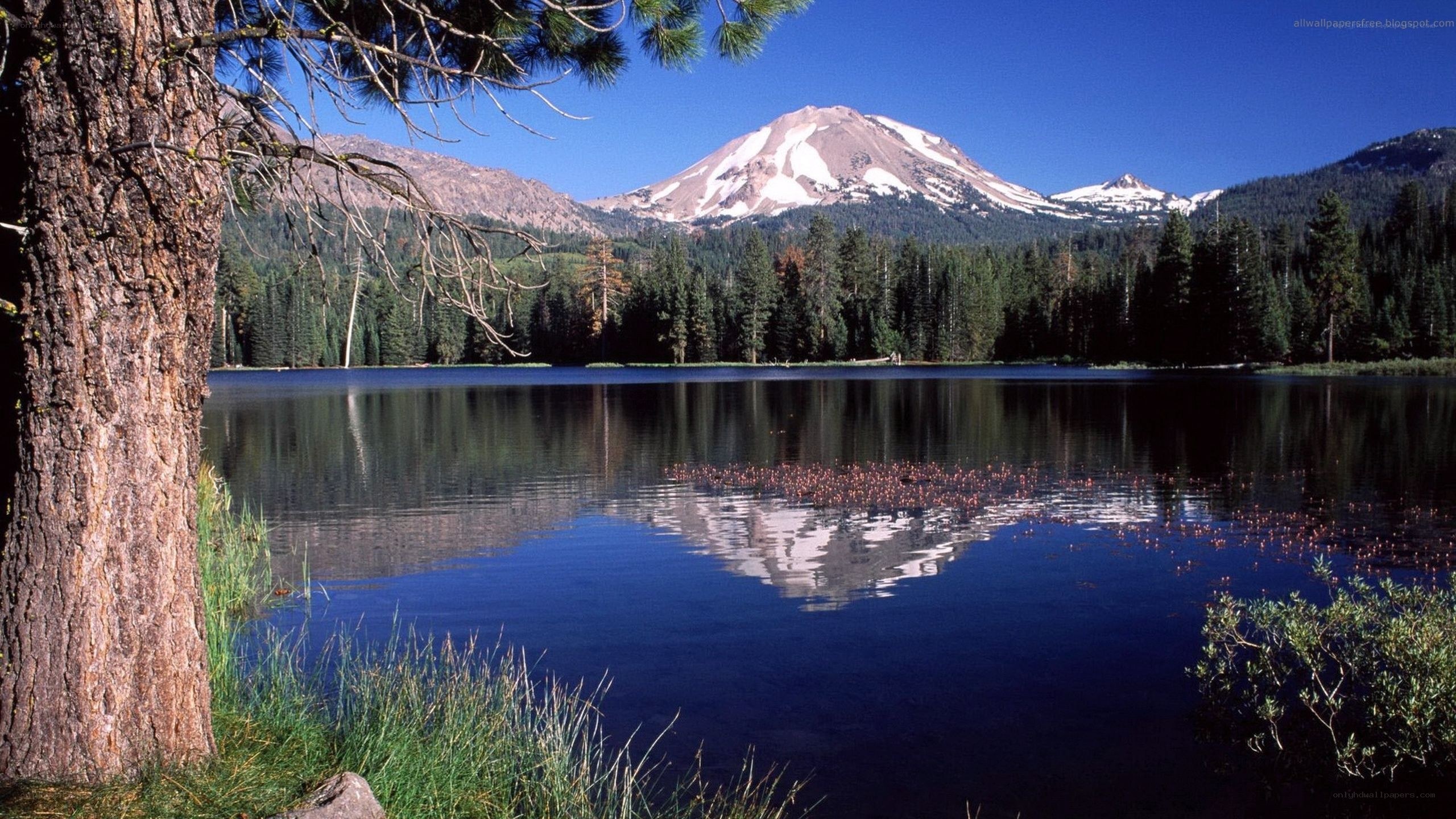 Mountain lake with snow-capped peak