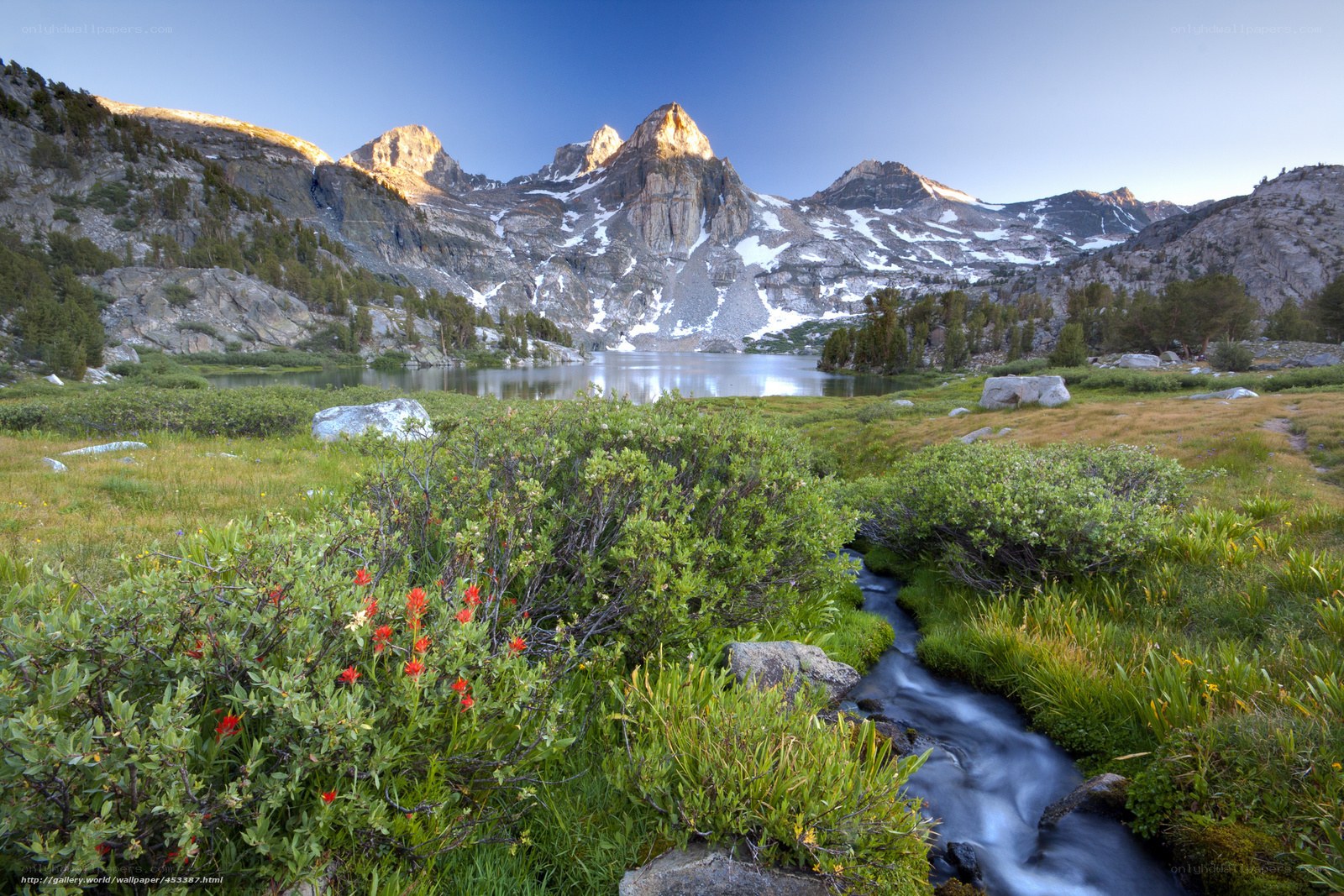 Mountain lake with stream and wildflowers