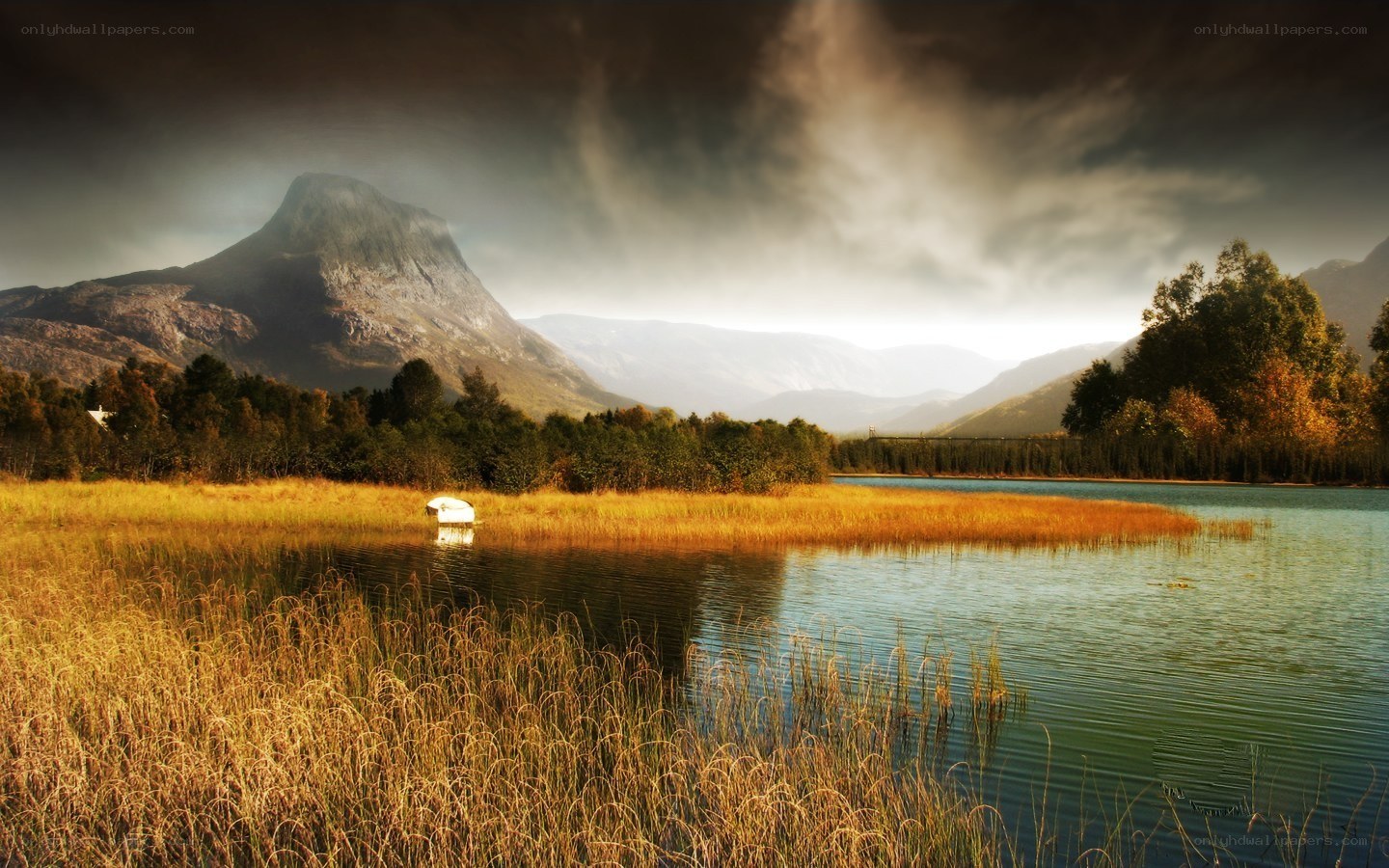 Mountain lake with swan