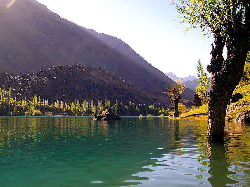 Mountain lake with tree