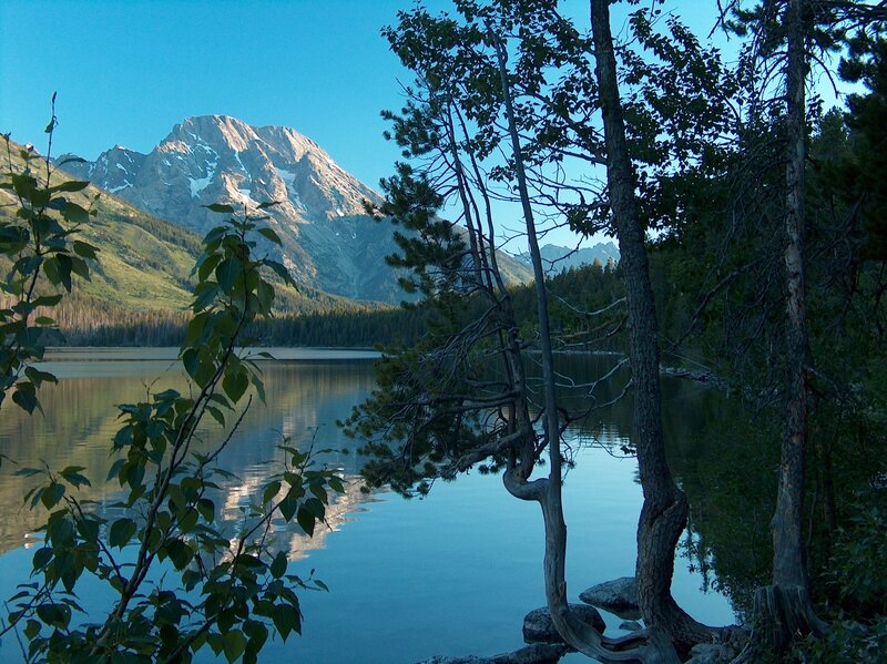 Mountain lake with tree foreground