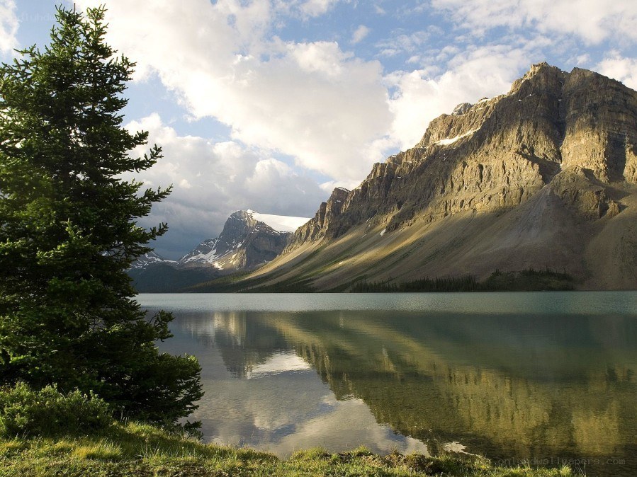 Mountain lake with tree in foreground