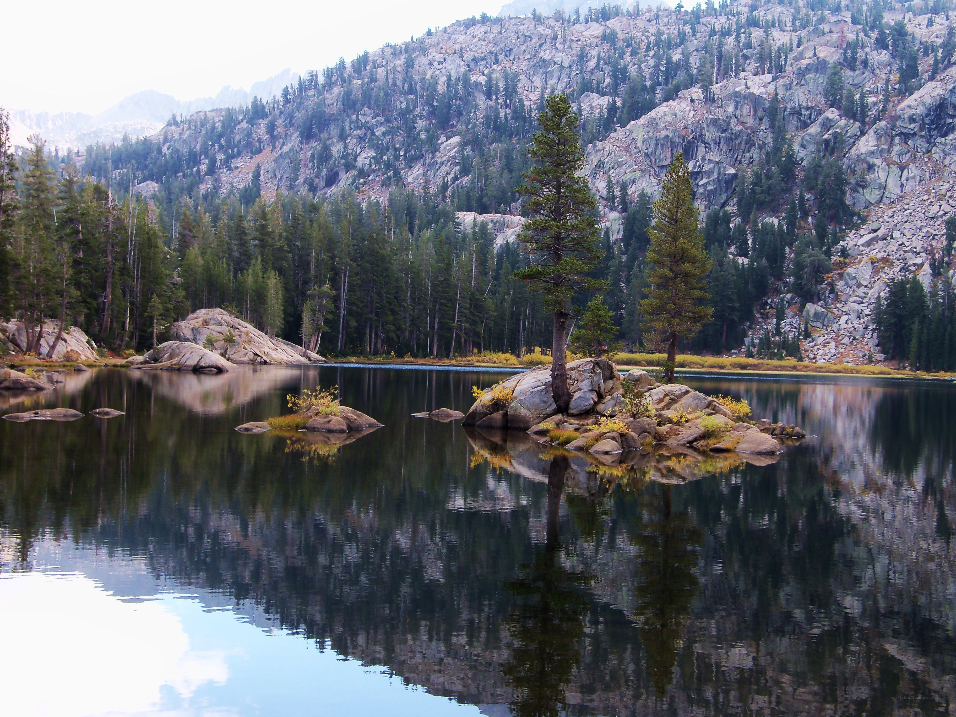 Mountain lake with tree reflection
