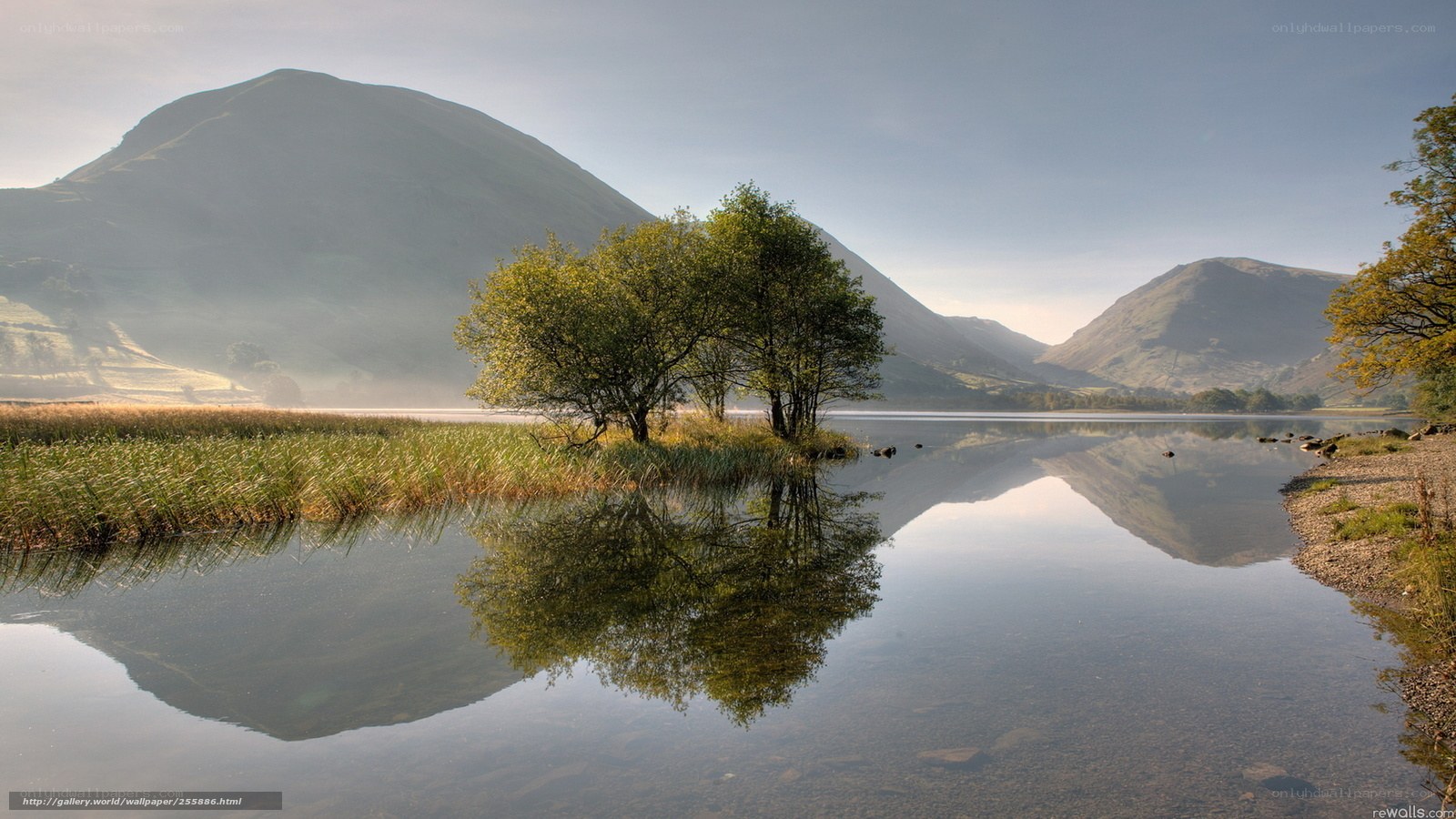 Mountain lake with tree reflection