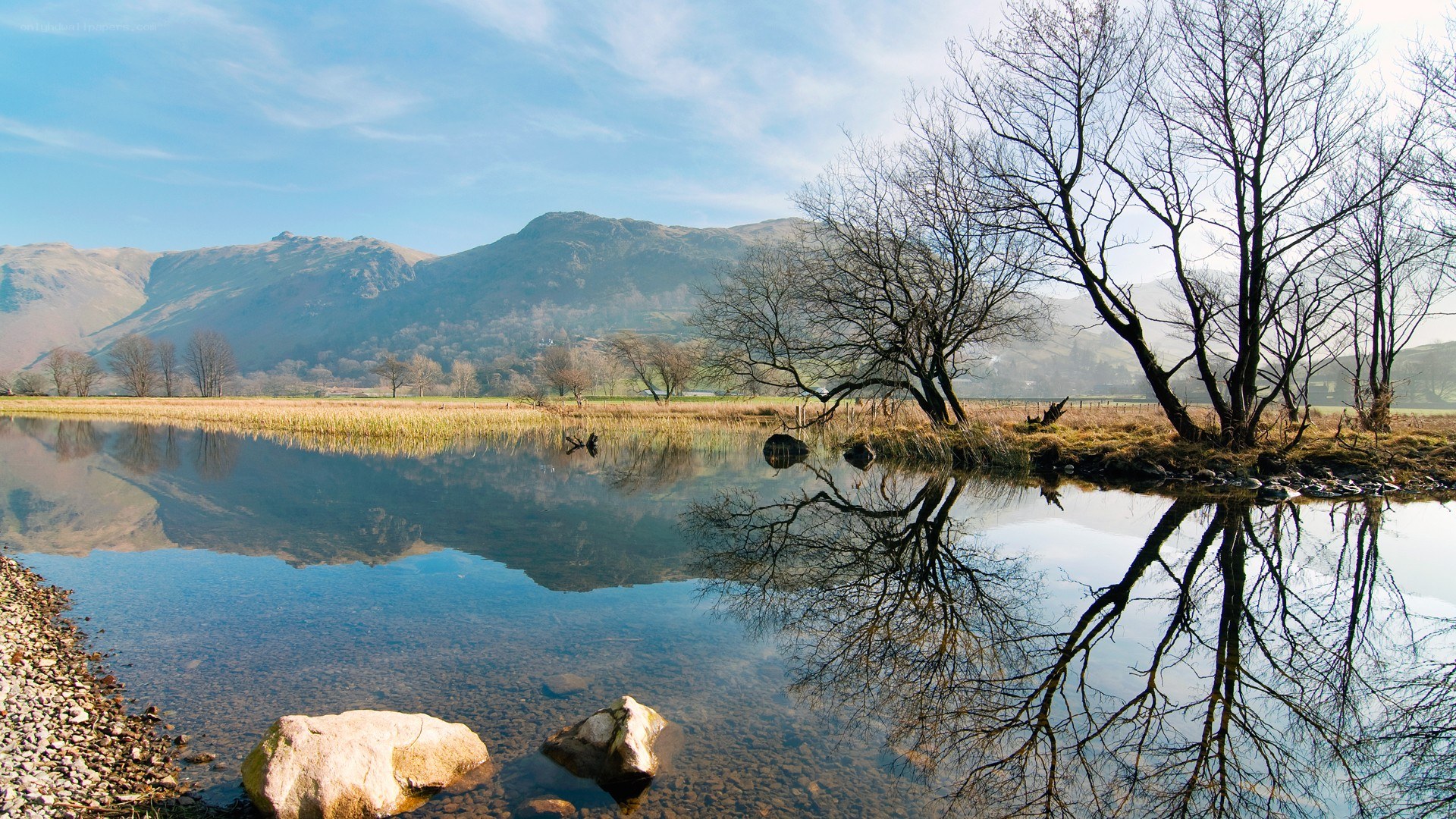 Mountain lake with tree reflections