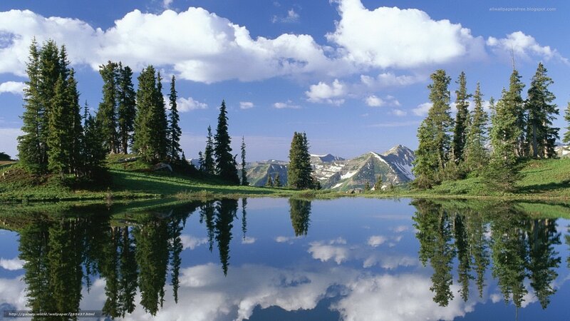 Mountain lake with tree reflections