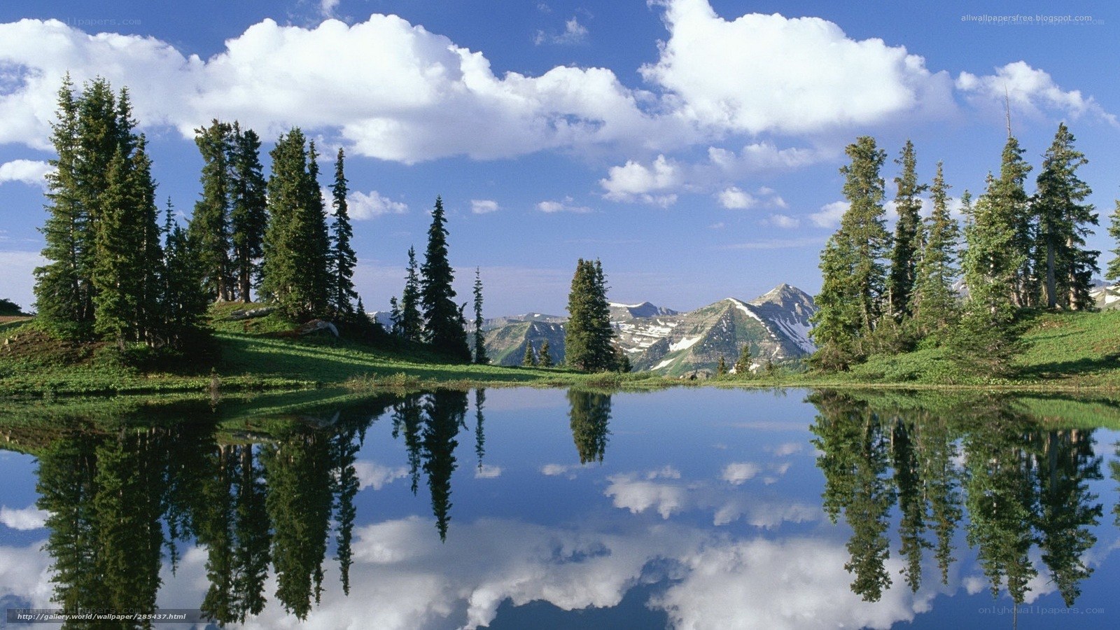 Mountain lake with tree reflections