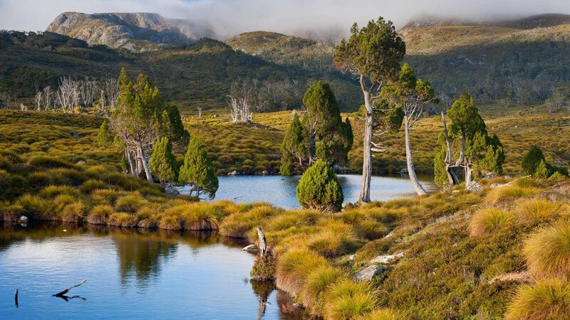 mountain lake with trees