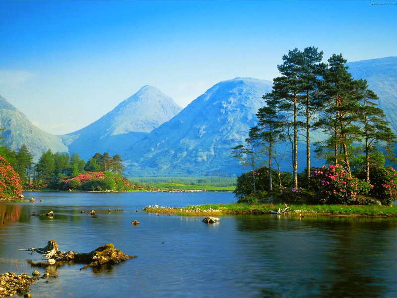 Mountain Lake with Trees — Blue, Serene, Afternoon, Photograph, Flowers