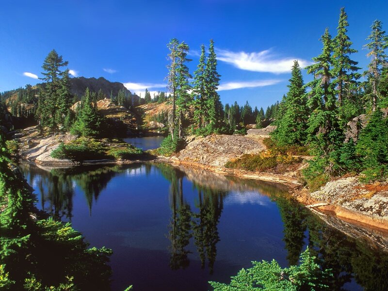 Mountain Lake with Trees — Blue, Serene, Afternoon, Photograph, Mountains, Sky, Green, Brown