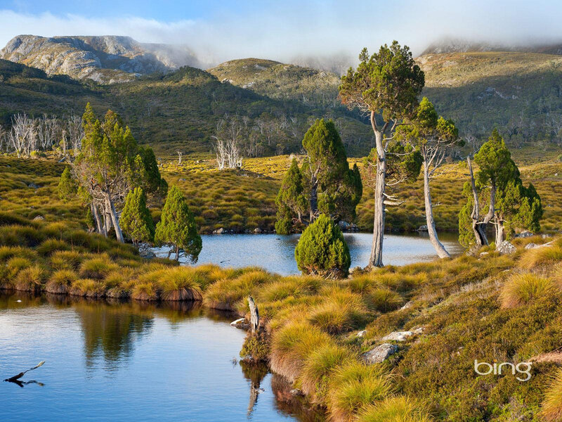 Mountain Lake with Trees — Blue, Serene, Morning