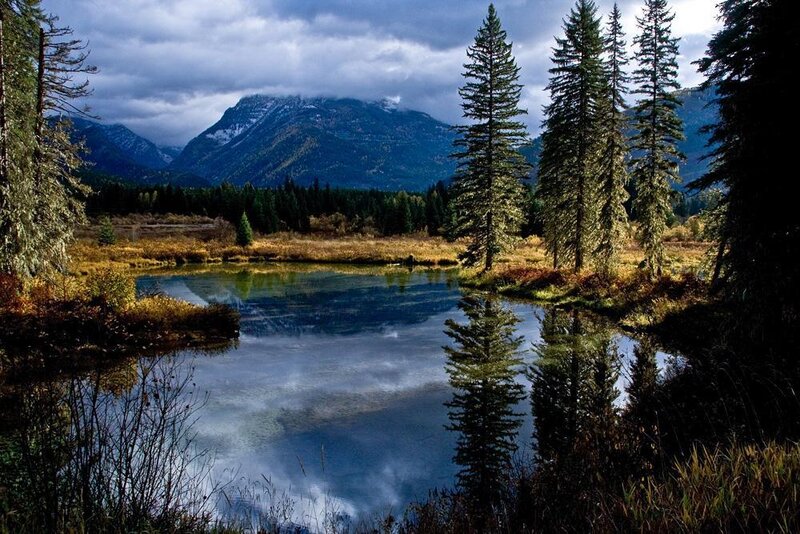 Mountain Lake with Trees — Blue