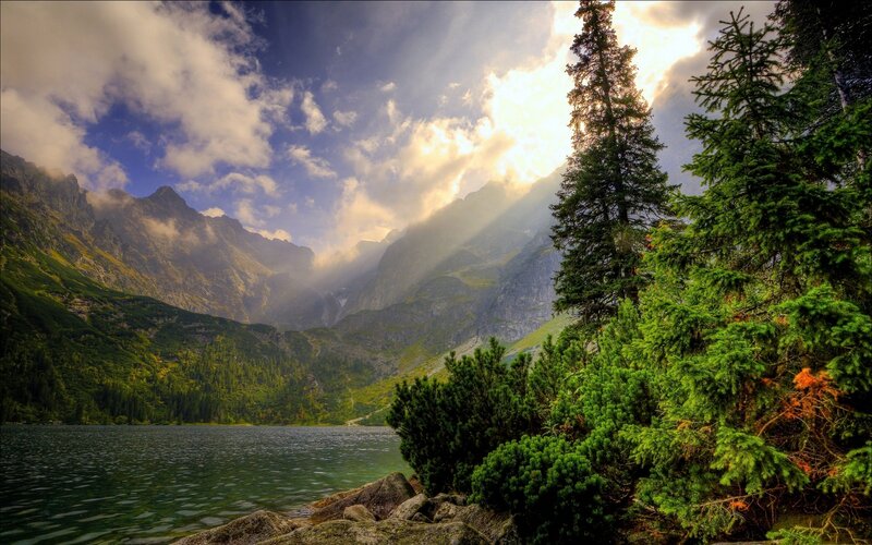 Mountain Lake with Trees — Green, Dramatic, Afternoon
