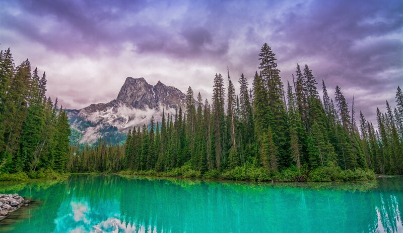 Mountain Lake with Trees — Green, Dramatic