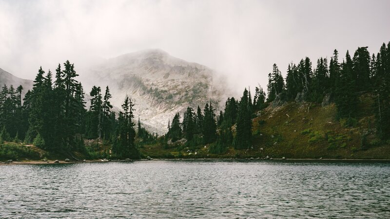 Mountain Lake with Trees — Green, Misty