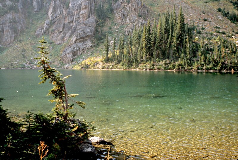 Mountain Lake with Trees — Green, Serene, Afternoon, Photograph, Brown