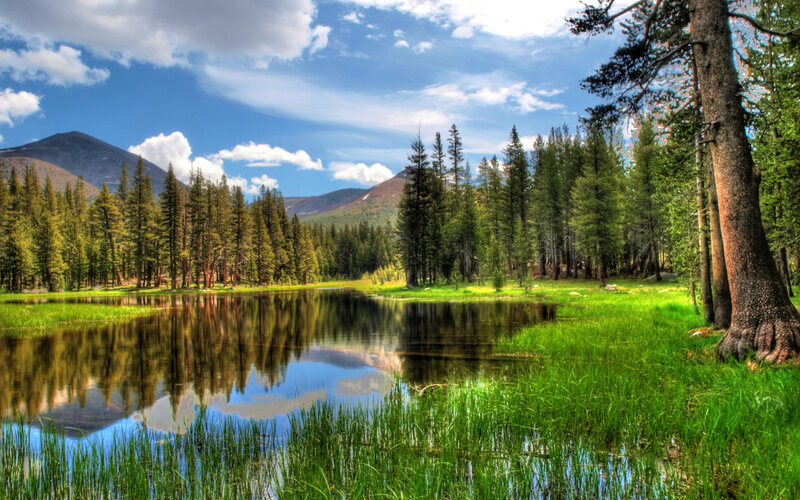 Mountain Lake with Trees — Green, Serene, Afternoon