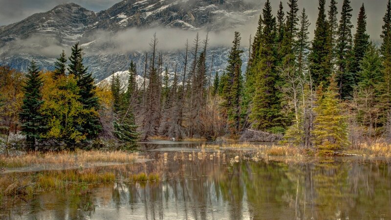 Mountain Lake with Trees — Green, Serene, Autumn