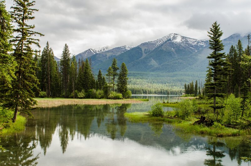 Mountain Lake with Trees — Green, Serene, Morning, Photograph