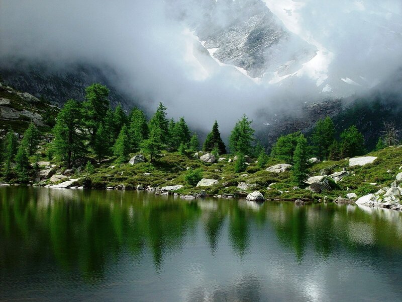 Mountain Lake with Trees — Green, Serene, Photograph, Mountains, Fog, Rocks