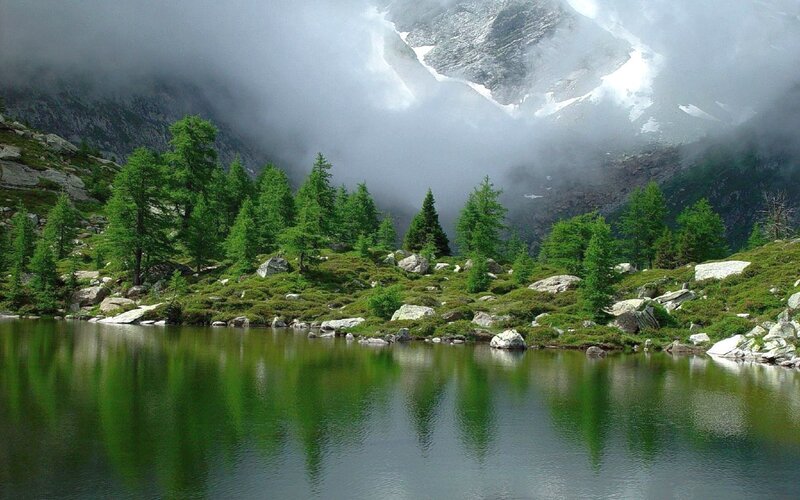 Mountain Lake with Trees — Green, Serene, Photograph