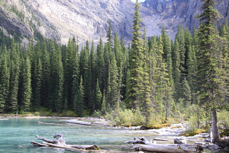 Mountain Lake with Trees — Green, Serene
