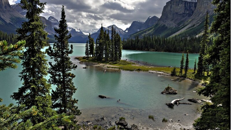 Mountain Lake with Trees — Green