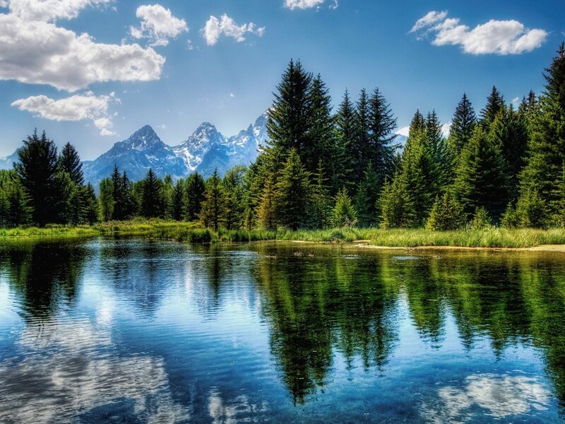 Mountain Lake with Trees — Mountains