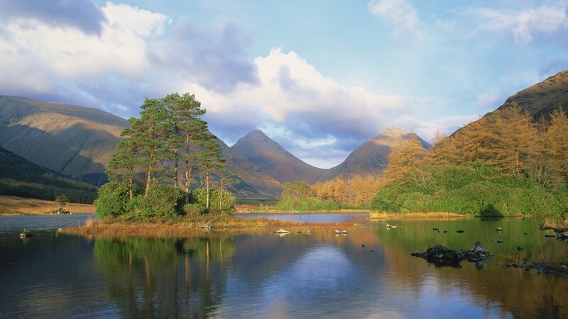 Mountain lake with trees