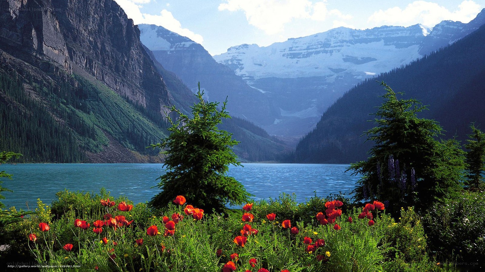 Mountain lake with wildflowers