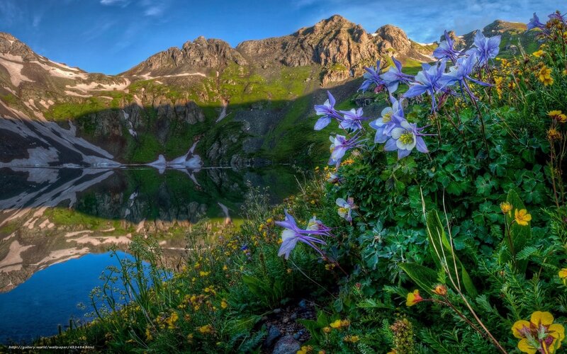 Mountain lake with wildflowers