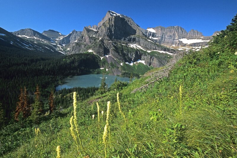 Mountain lake with wildflowers