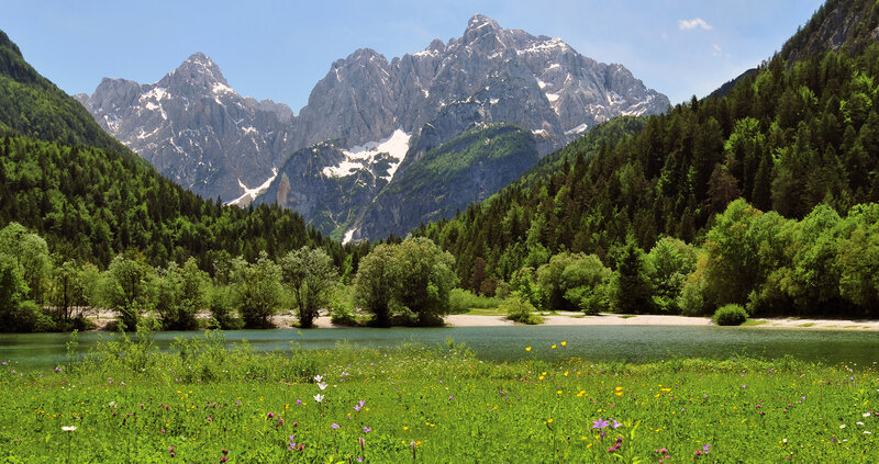 Mountain lake with wildflowers