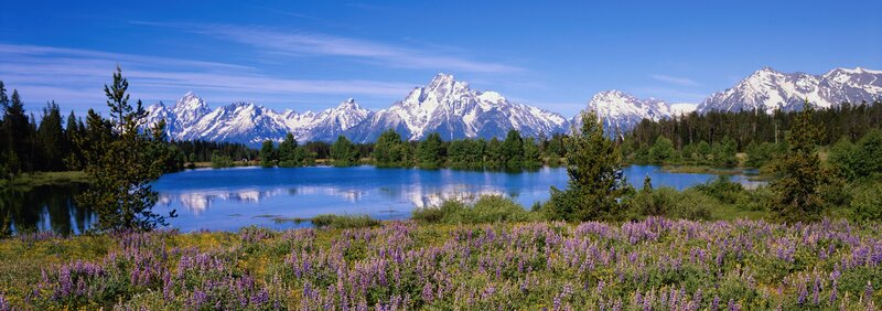Mountain lake with wildflowers